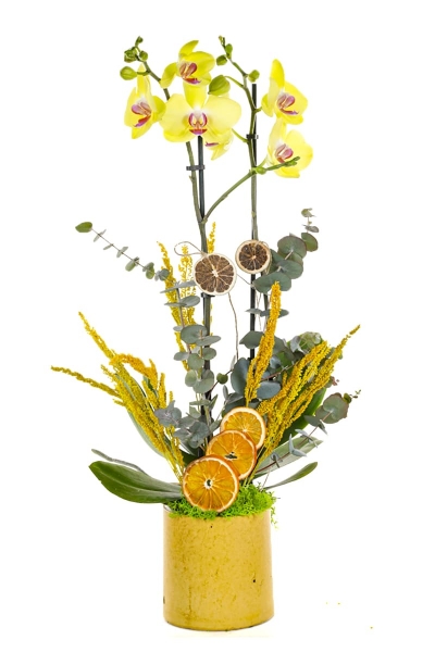 YELLOW ORKİDE TASARIM