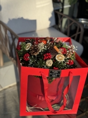 KOKİNA ( YILBAŞI ÇİÇEĞİ )